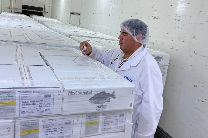El pacú chaqueño llegó a Los Ángeles: 8.200 kilos de carne exportada con control sanitario