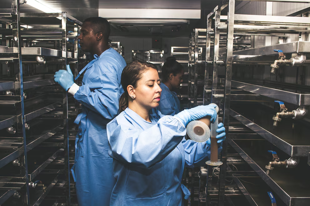 Brasil inaugura una fábrica que producirá 190 millones de mosquitos modificados contra el dengue