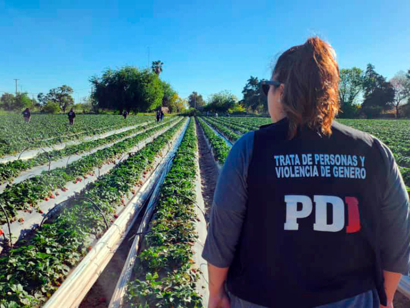Trata laboral en Santa Fe: liberan a 42 trabajadores rurales, la mayoría de Chaco