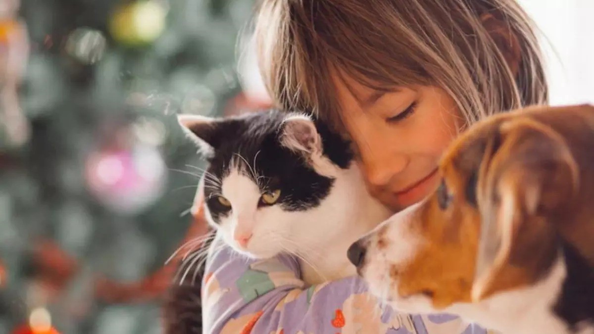  4 de octubre, Día Mundial de los Animales