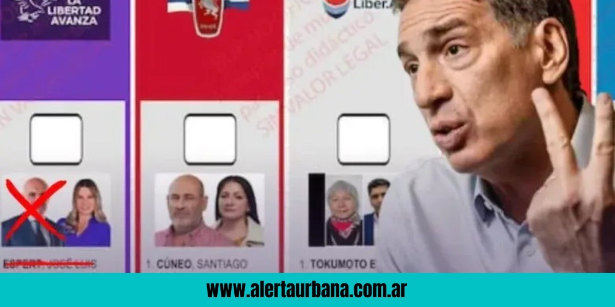 El oficialismo anticipó que apelará en caso de que la Justicia no acepte reimprimir las boletas