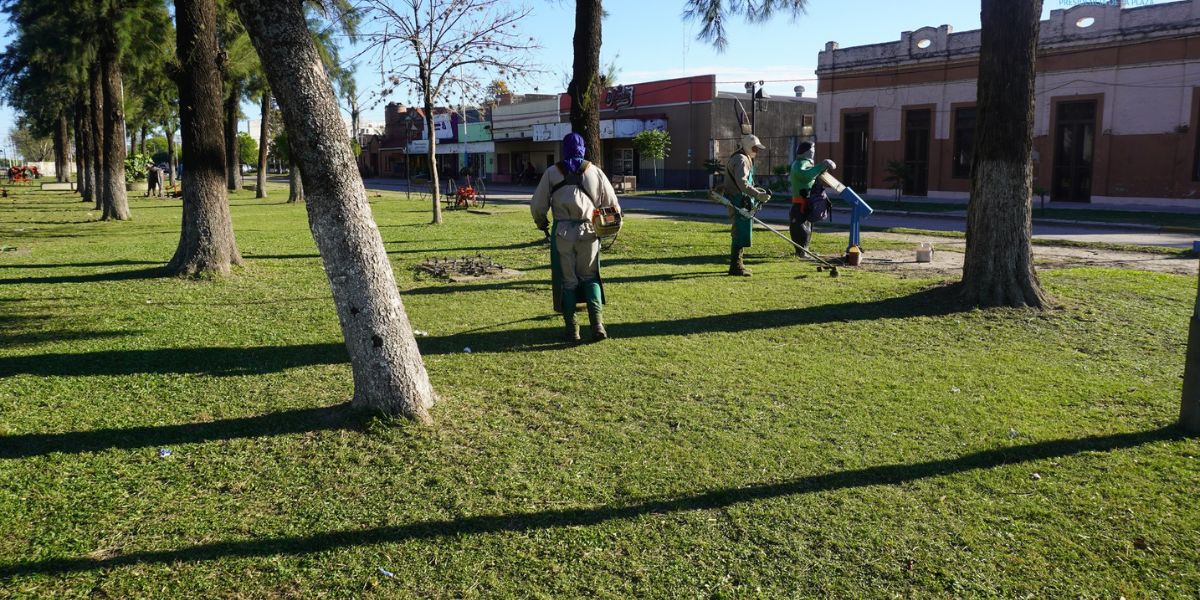 Compromiso y orden: Presidencia de la Plaza avanza en la limpieza de espacios públicos