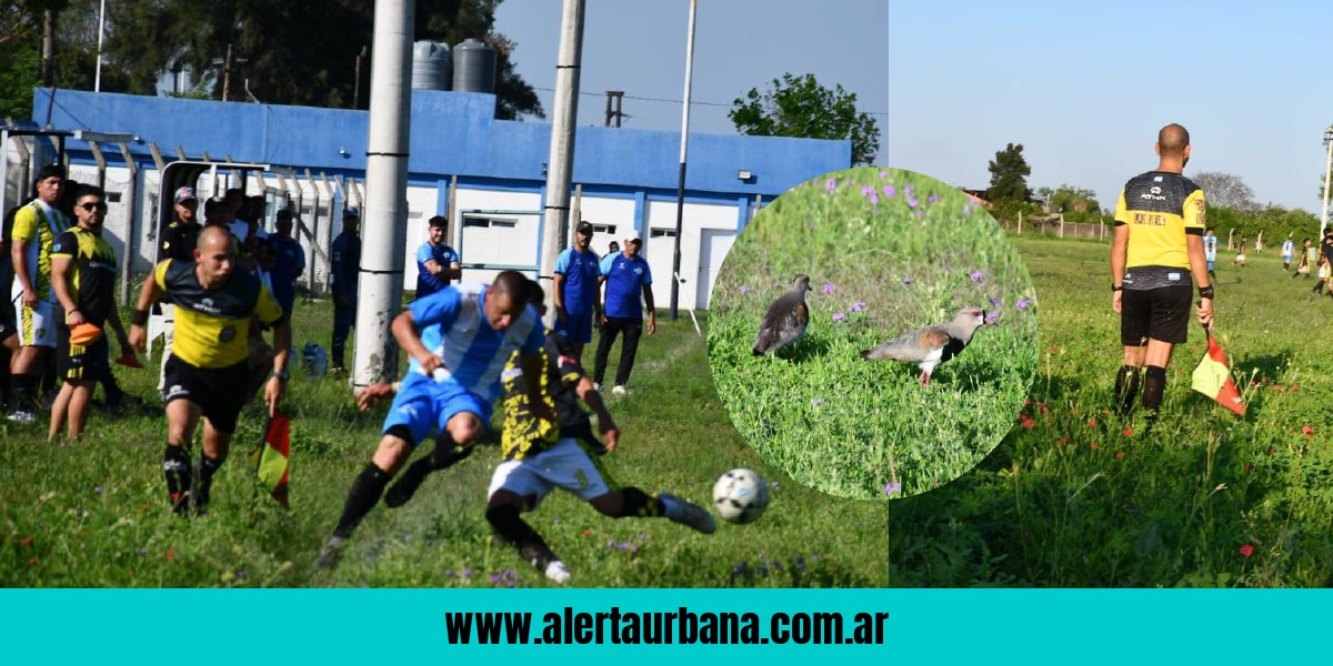 El insólito partido del fútbol chaqueño que se jugó entre flores, el pasto alto y teros 