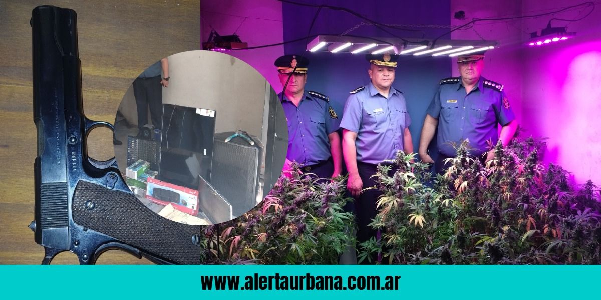 De robo a narcotráfico: desbaratan un centro de cultivo de marihuana y detienen a un narco con antecedentes en Resistencia