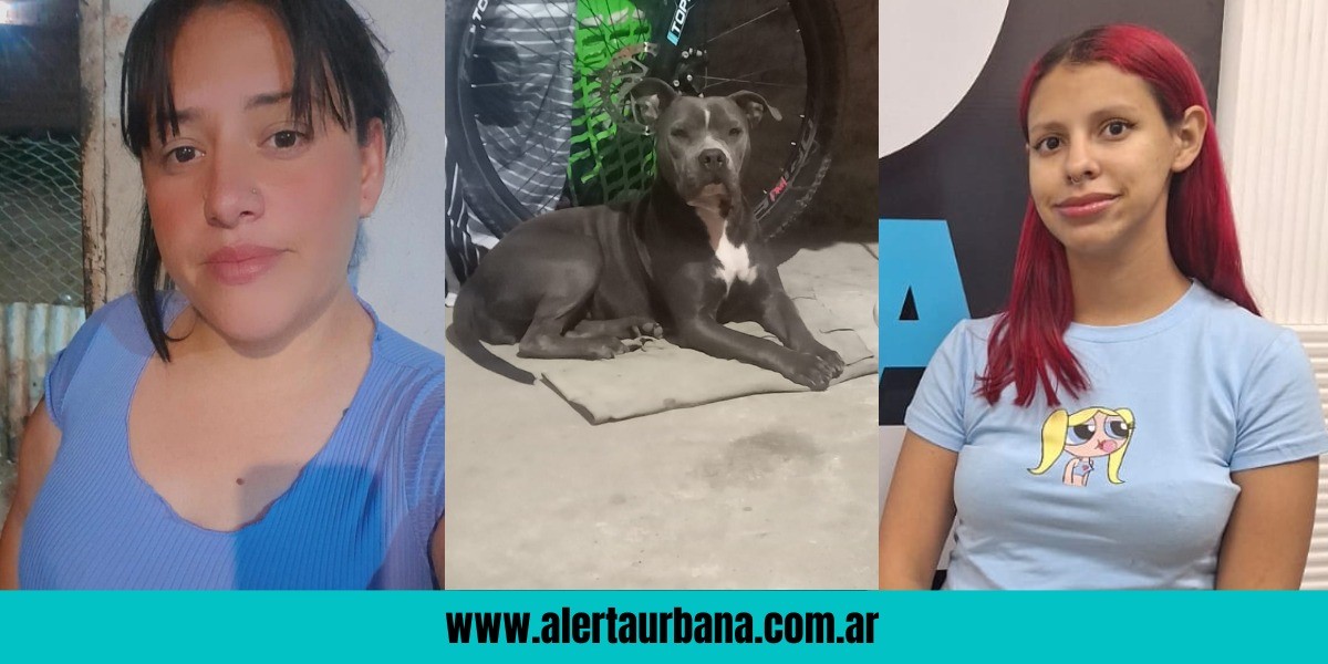 El confuso caso de Wandi: disputa por una Pitbull que fue ¿canjeada por drogas?