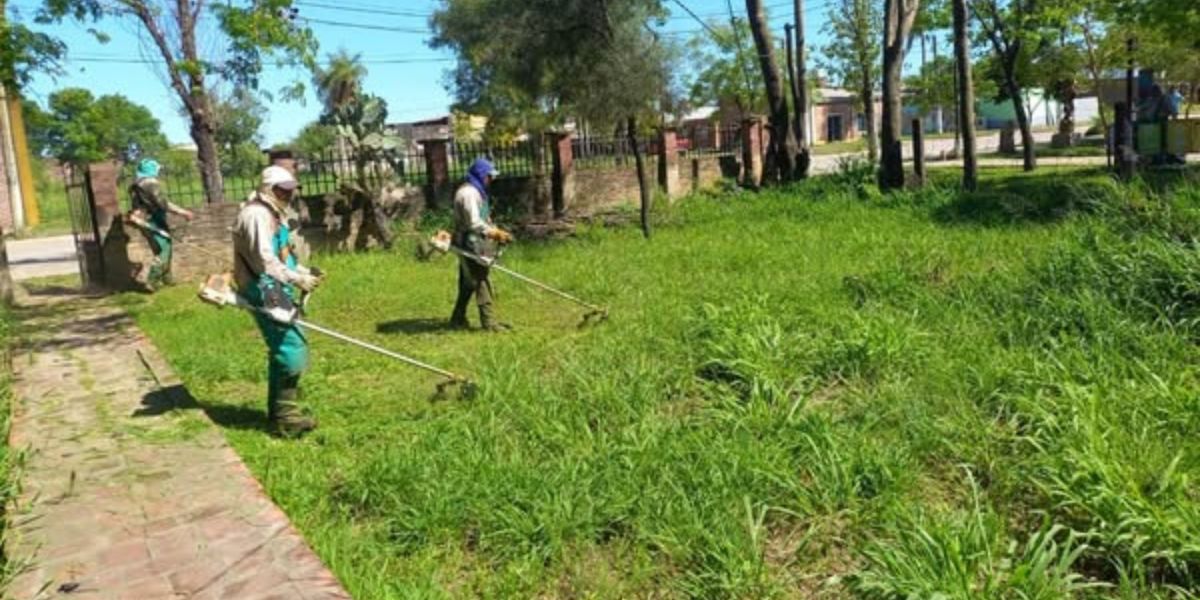 Inicio de operativos contra el dengue: Presidencia de la Plaza comenzó el desmalezado en escuelas e instituciones