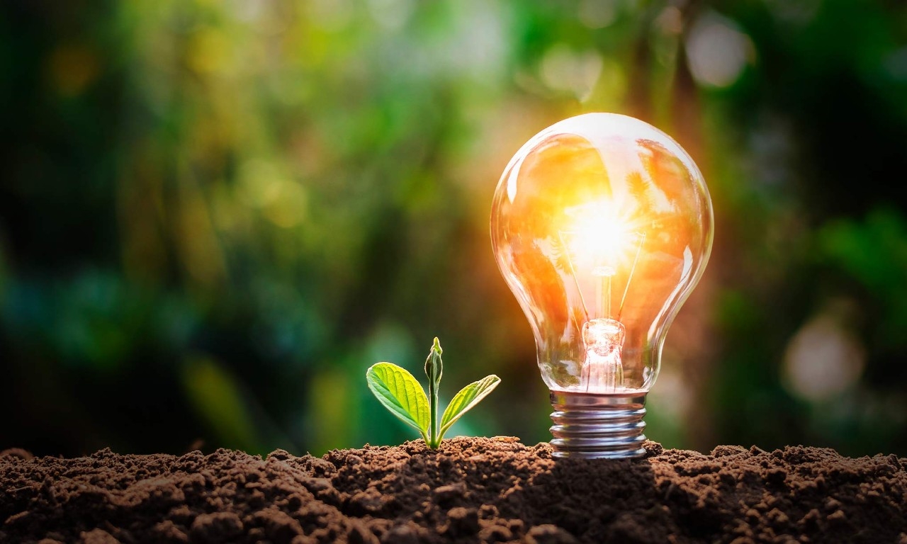 ¿Vas a apagar la luz un rato?: Hoy se celebra el Día Mundial del Ahorro de Energía