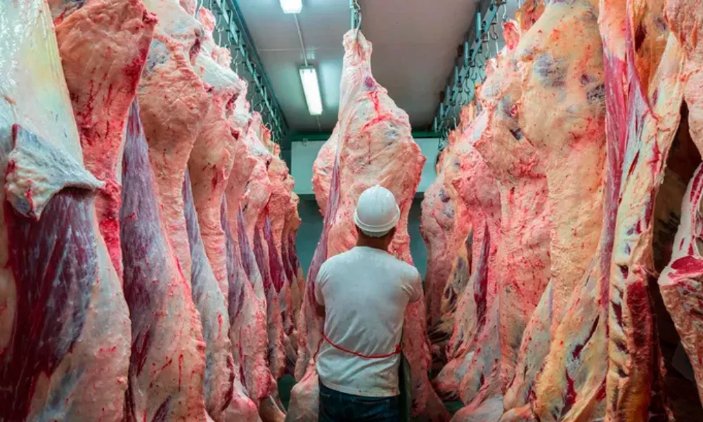 La carne argentina, con ingreso limitado al mercado estadounidense