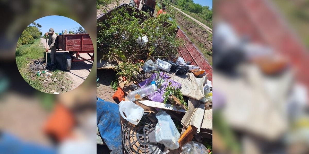 Operativo limpieza en Plaza: El Municipio retiró residuos de zanjas y espacios no habilitados