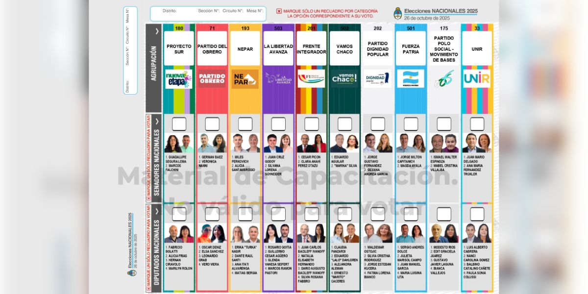 Legislativas 2025: cuáles son las listas que disputarán el voto popular el domingo