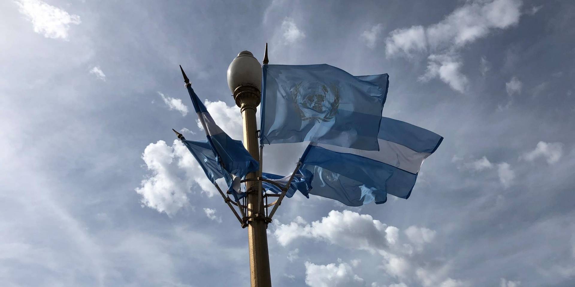Hoy es el Día de la Organización de las Naciones Unidas