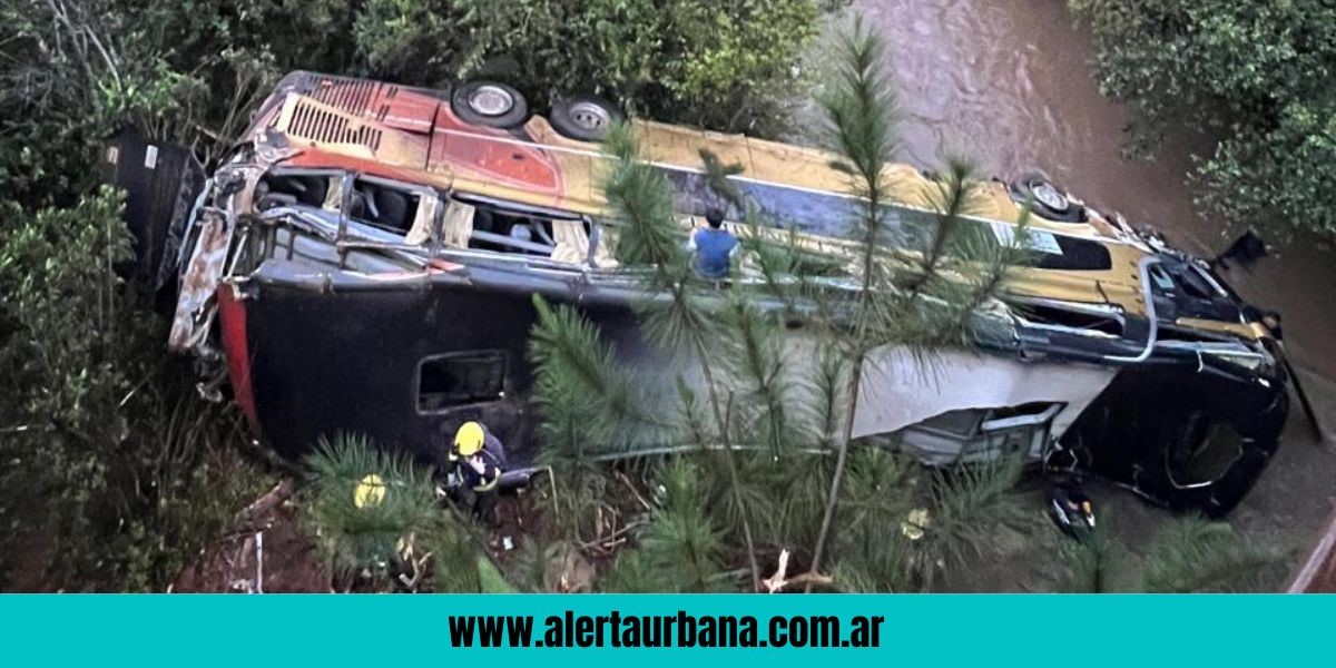 Tragedia en Misiones: al menos siete muertos al caer un colectivo a un arroyo