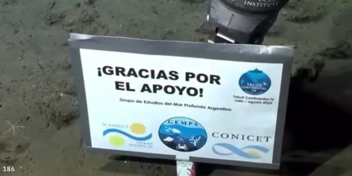 De la profundidad del mar al viaje en el tiempo: ahora el Conicet transmitirá la búsqueda de dinosaurios
