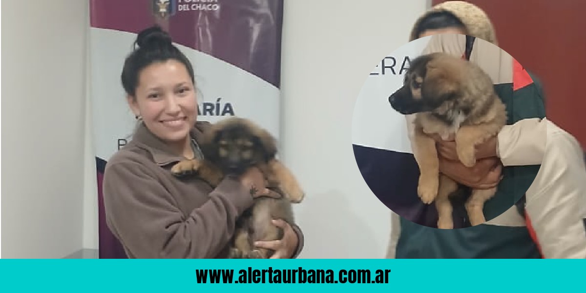 La policía encontró a un perrito que se había perdido en Barranqueras