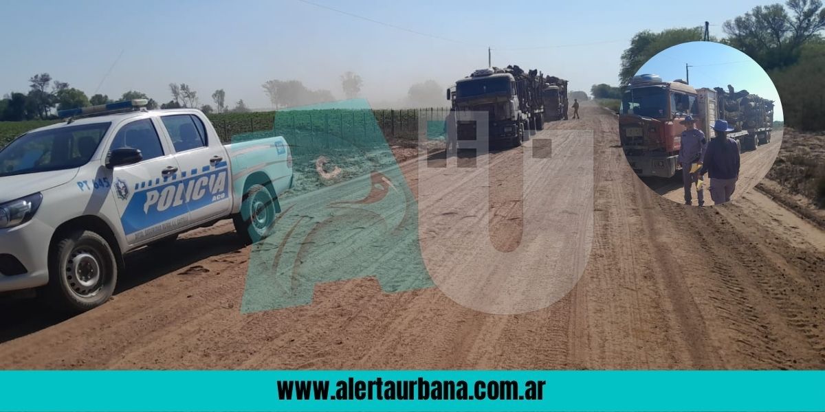 Secuestraron dos camiones con más de 60 mil kilos de madera