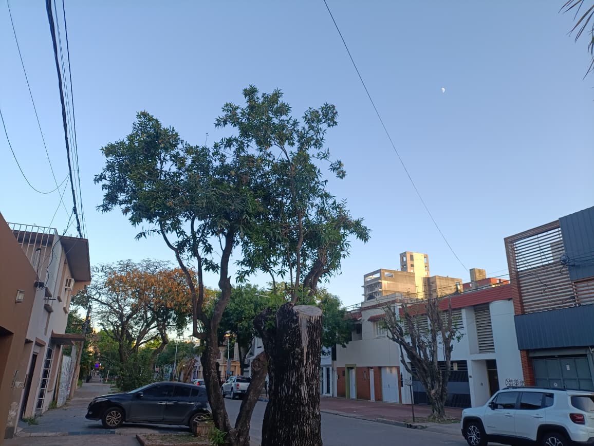 Inicio de semana soleado y primaveral en toda la provincia