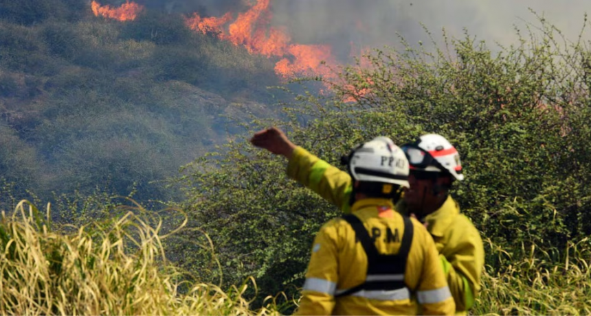 Incendio en Quebrada del Condorito: peligro para cóndores y fauna autóctona