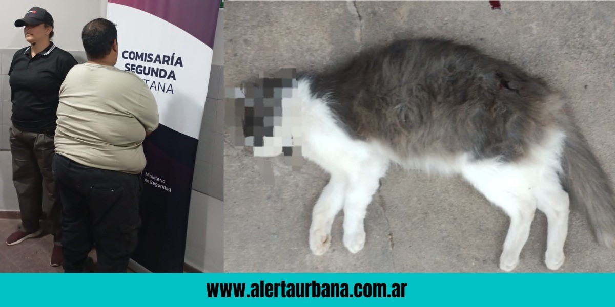 Al calabozo por matar al gato del vecino con un disparo de rifle comprimido