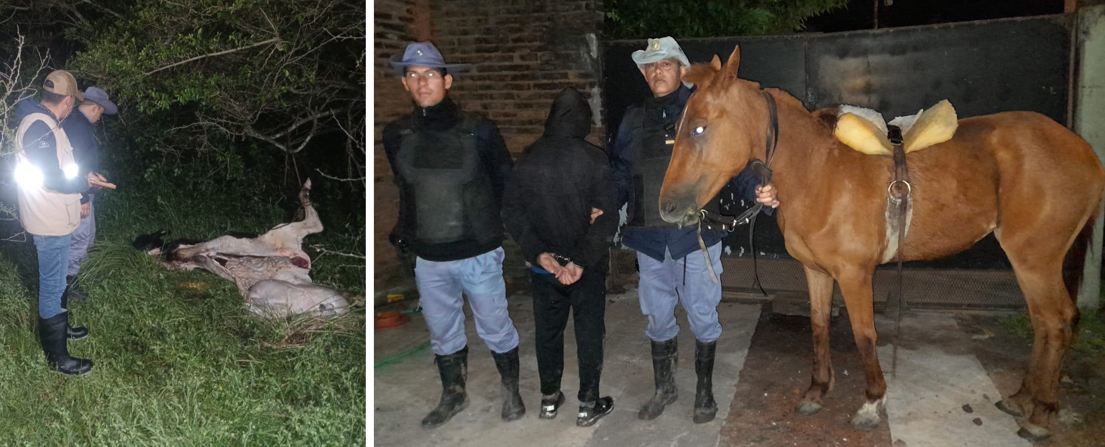 Puerto Tirol: Intentó huir a caballo tras faenar una ternera pero terminó detenido