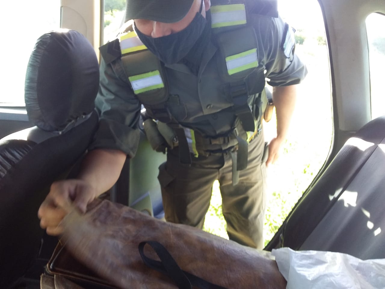 Gendarmería Nacional secuestró dos Aves de riña 