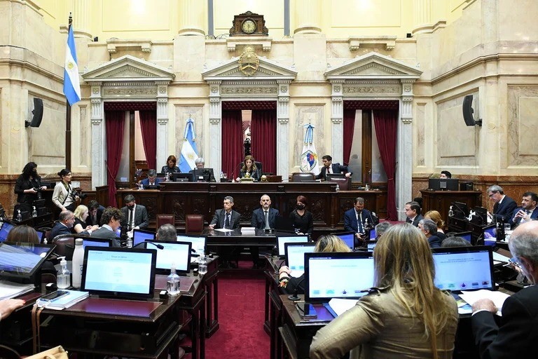 Pese al fallo de la Corte Suprema, el Frente de Todos avanzó en el Senado con la designación de Doñate en el Consejo de la Magistratura