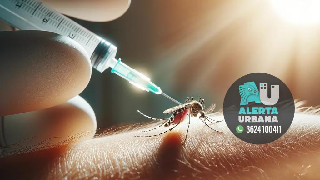 La vacuna contra el dengue llegó a la Argentina: ¿Quiénes pueden recibirla? ¿Y cómo será su aplicación en el país?