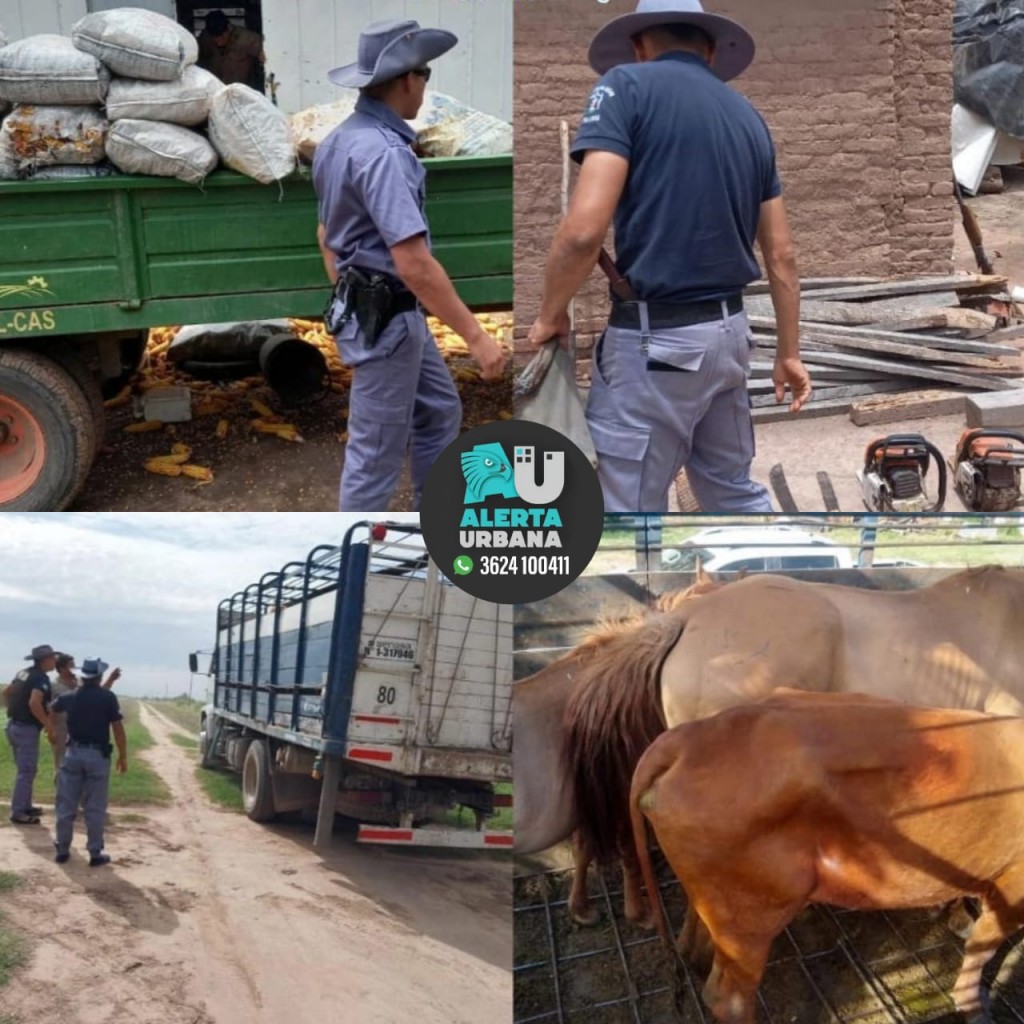Machagai: La Policía incautó animales y armas en una zona rural 