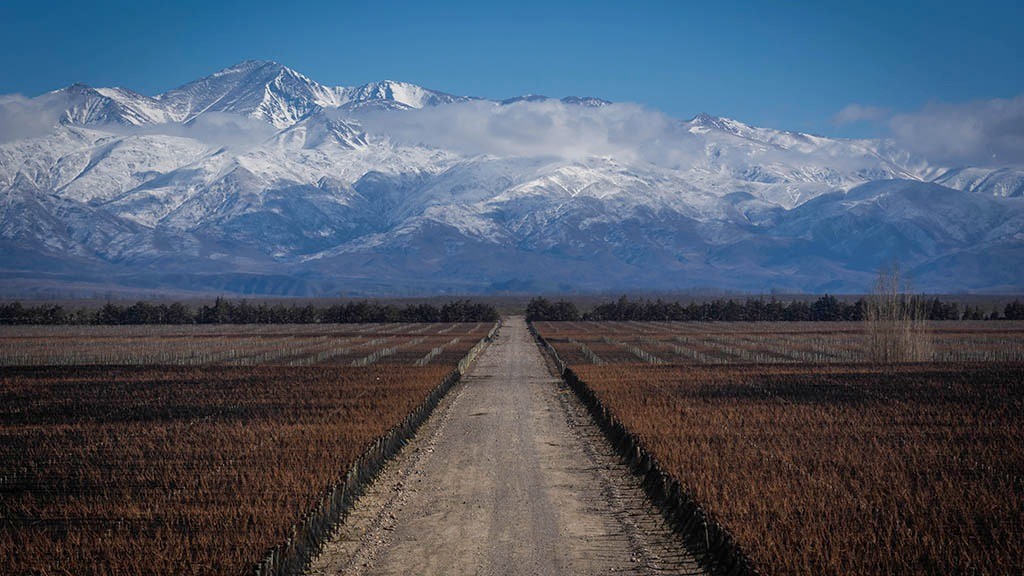 Nevadas tardías auguran un buen pronóstico para la producción neuquina