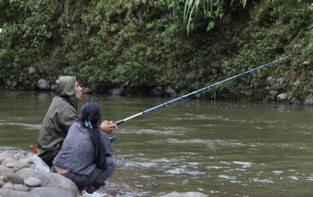 Investigadores encuentran microplásticos en peces de dos ríos de la Amazonía ecuatoriana