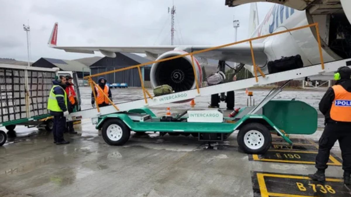 Las fuerzas de seguridad podrán brindar servicios aeroportuarios y de rampa