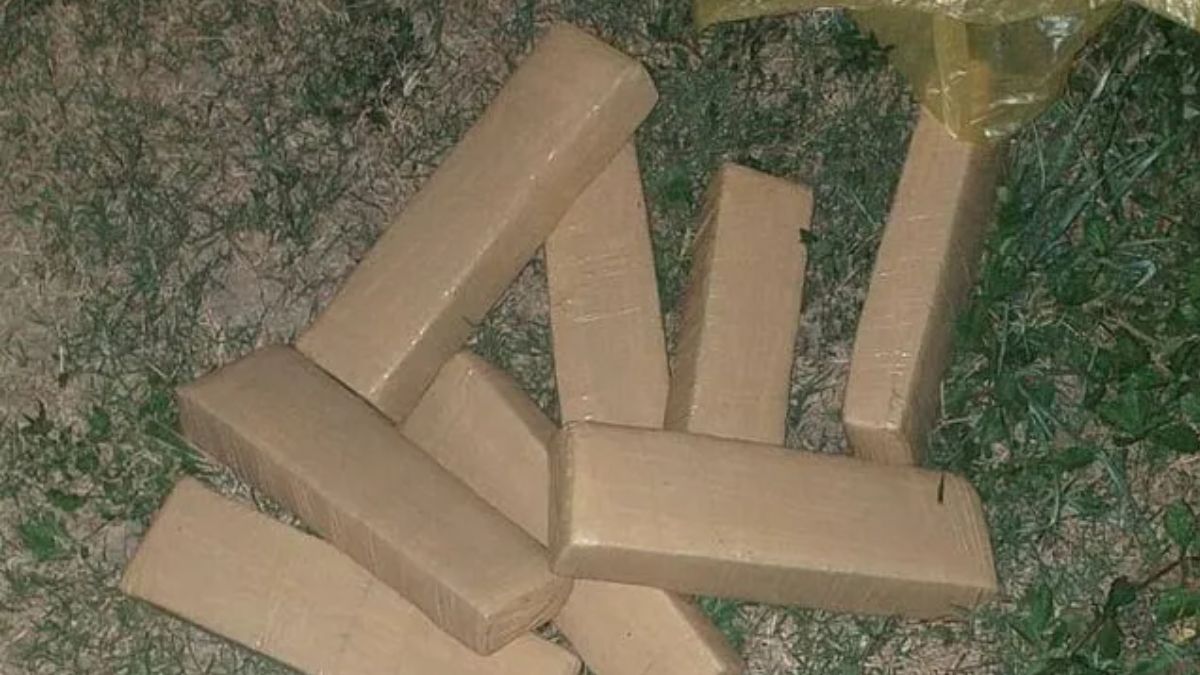 Continúa la lucha contra el narcotráfico: incautan más de ocho kilos de marihuana