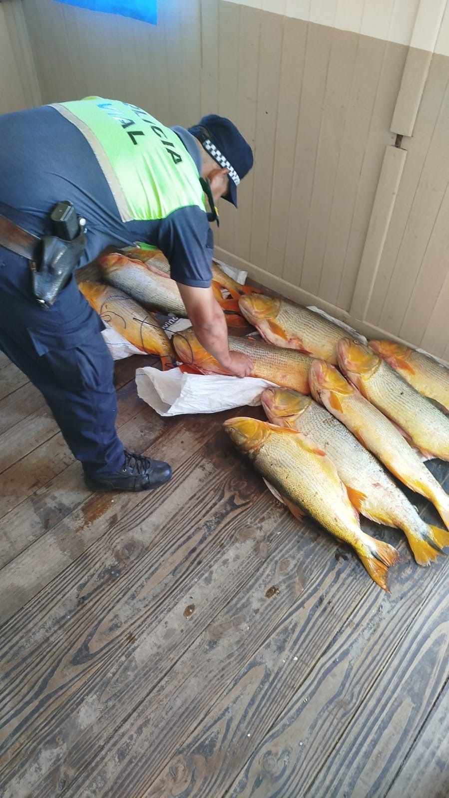 Se quedaron sin poder hacer la fritanga: le secuestran 11 dorados en control vehicular