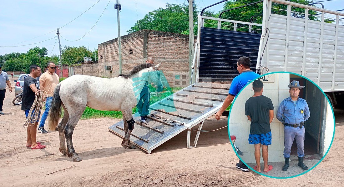 Detienen a carrero y le secuestran el caballo tras chocar un auto