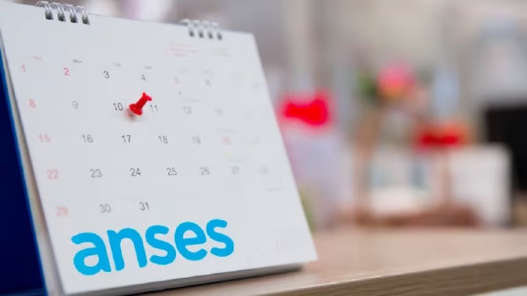 Mirá cuando te toca a vos: Anses difundió el calendario completo de pagos de noviembre