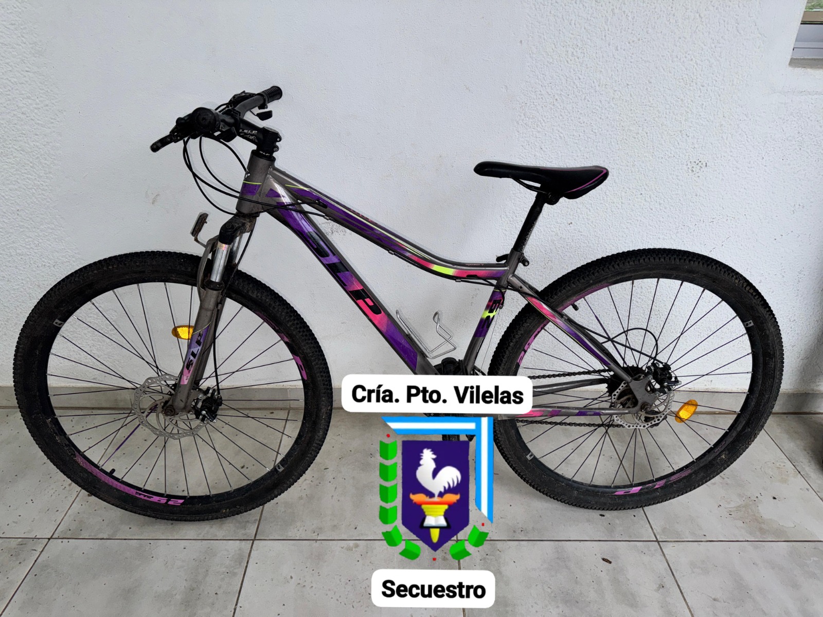 Vilelas: Demoraron a una mujer que robó una bicicleta