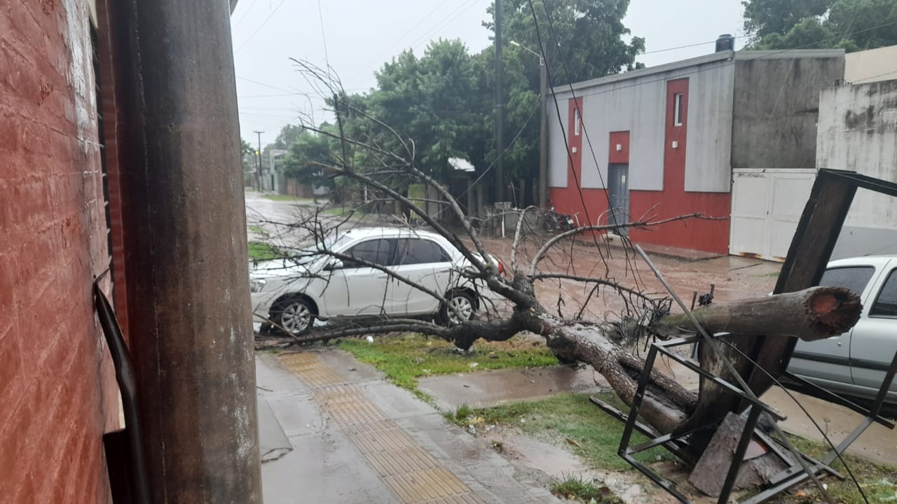 Intensas lluvias en Resistencia: cayó un árbol sobre un auto en la Sabin