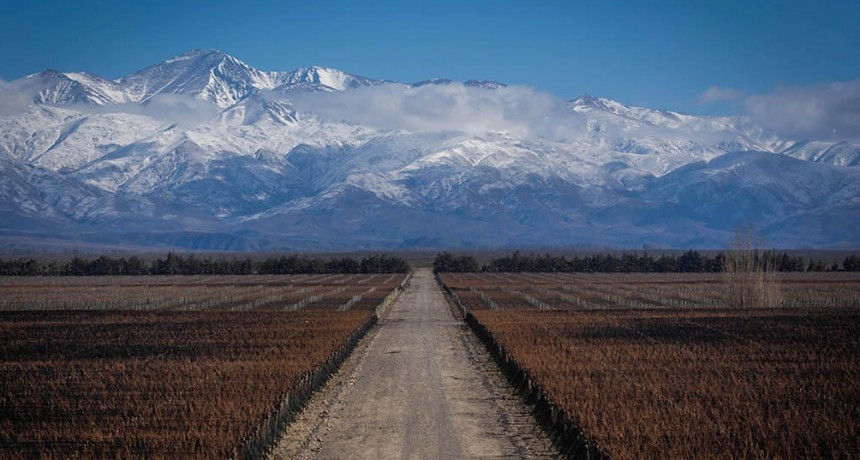 Nevadas tardías auguran un buen pronóstico para la producción neuquina