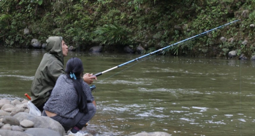 Investigadores encuentran microplásticos en peces de dos ríos de la Amazonía ecuatoriana