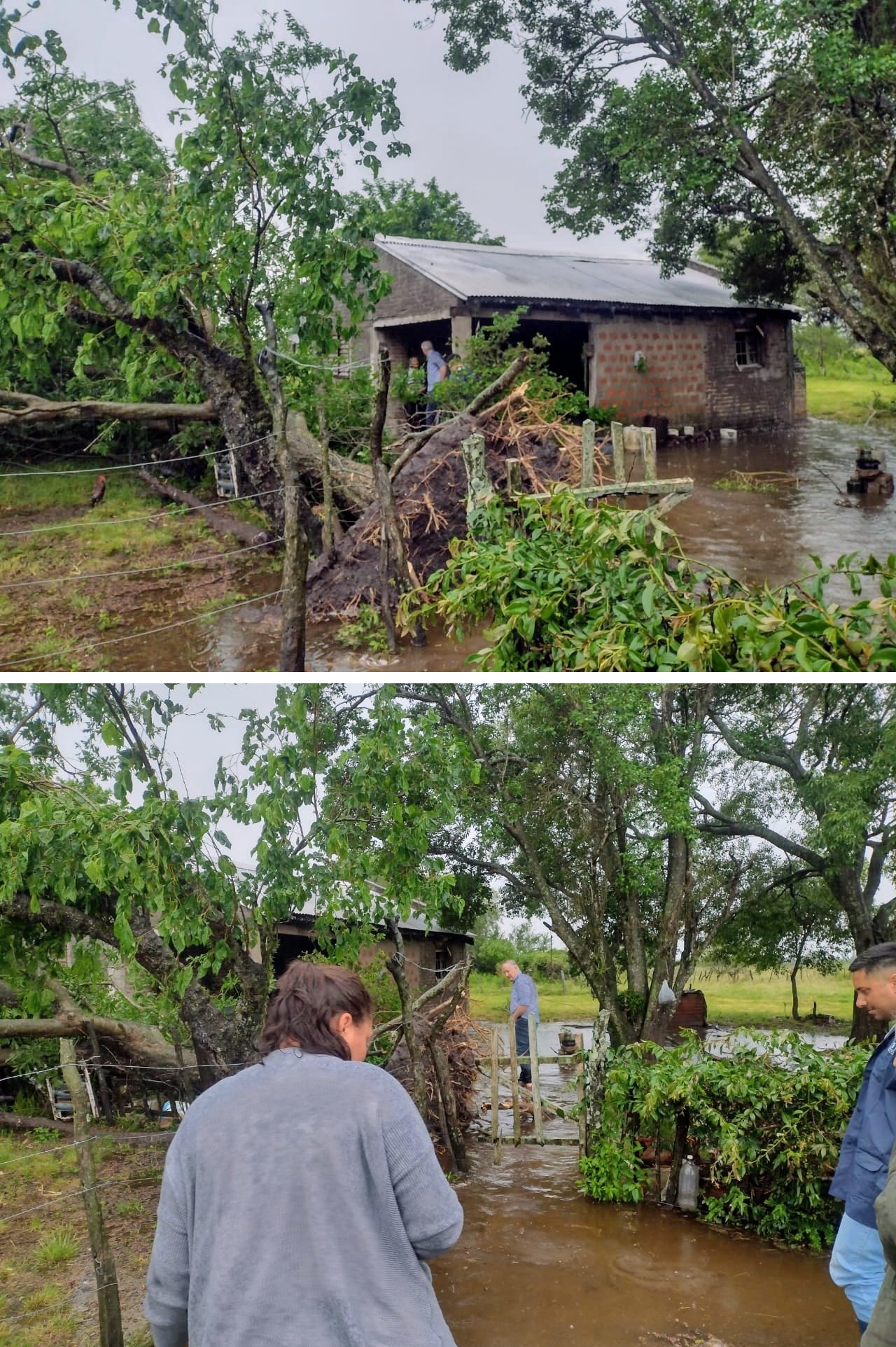 Fuerte temporal azotó Sauce, Corrientes, y dejó 70 postes caídos y daños en medio centenar de viviendas