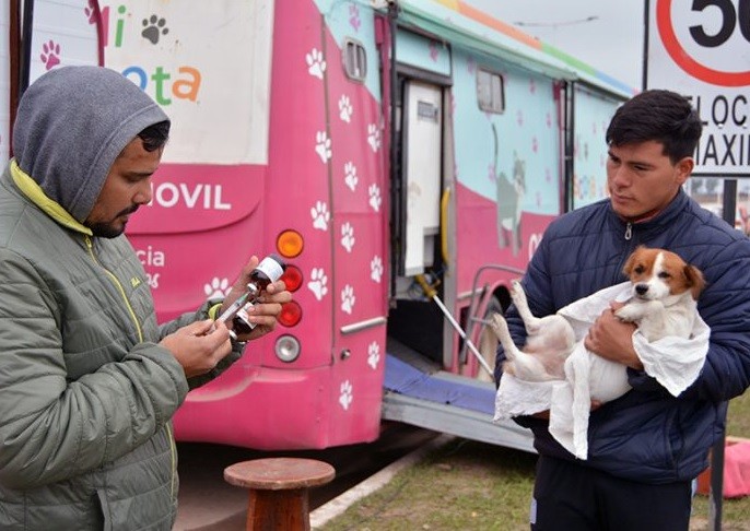 Castración gratuita de mascotas: este lunes y martes en el barrio Carpincho Macho