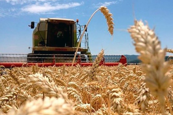 Pese a la sequía la proyección de cosecha del trigo es “mucho mejor de la esperada”