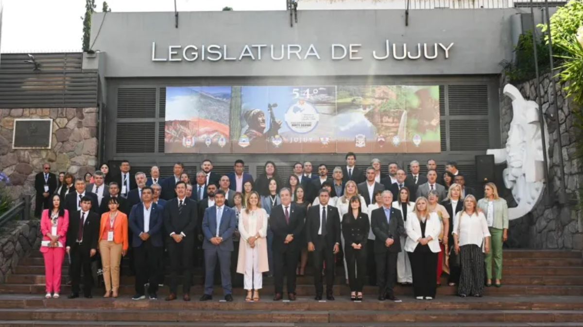 Parlamento del Norte Grande: diputados aprobaron iniciativas para el desarrollo del Chaco