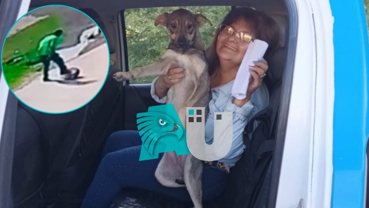 Rescatan a perrita víctima de una despiadada golpiza en Puerto Vilelas: 