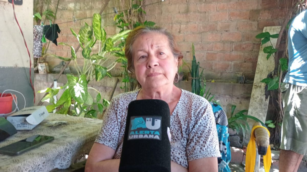 Abuela denuncia a su vecino por destrozos en su casa y no recibe respuesta de la Justicia