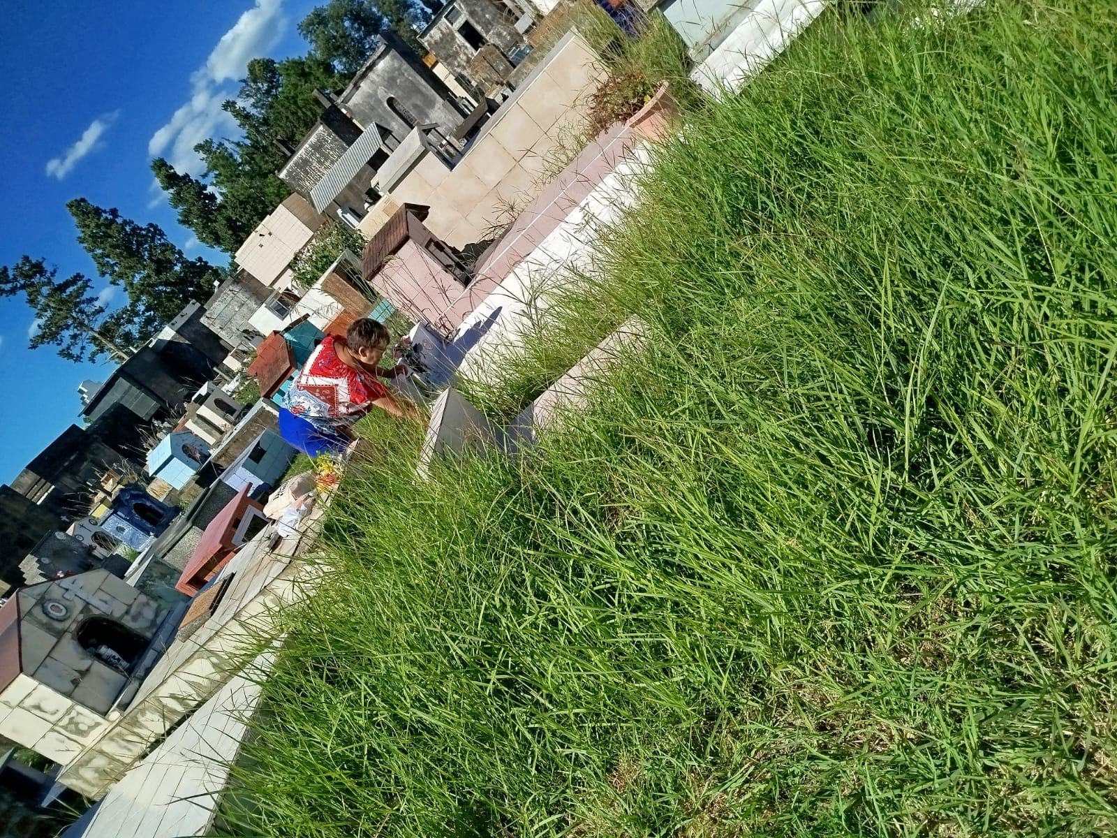  El cementerio municipal, un monte: imposible llegar a las tumbas por los pastos altos