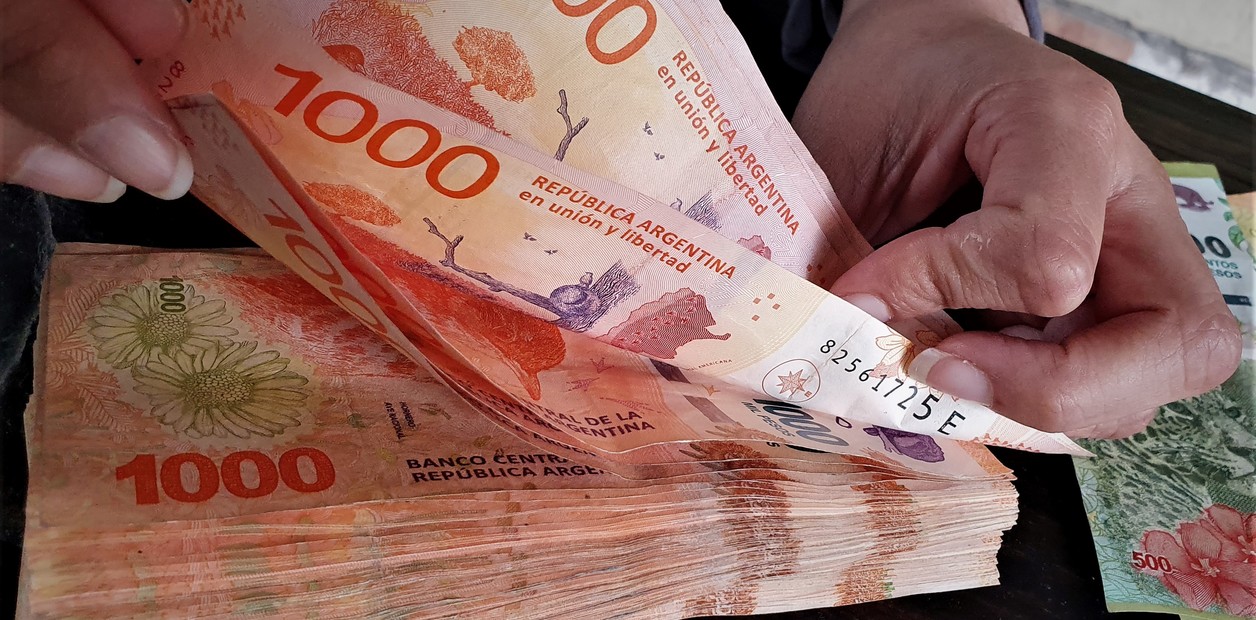 El peso argentino fue la moneda que más se apreció en 2024