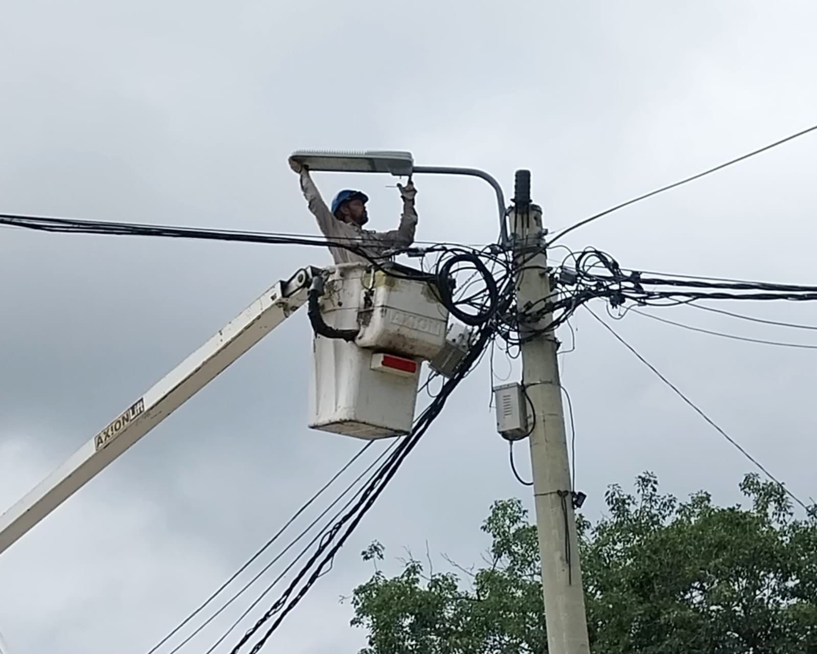 Una serpiente dejó sin luz a gran parte de Resistencia en la calurosa tarde del viernes