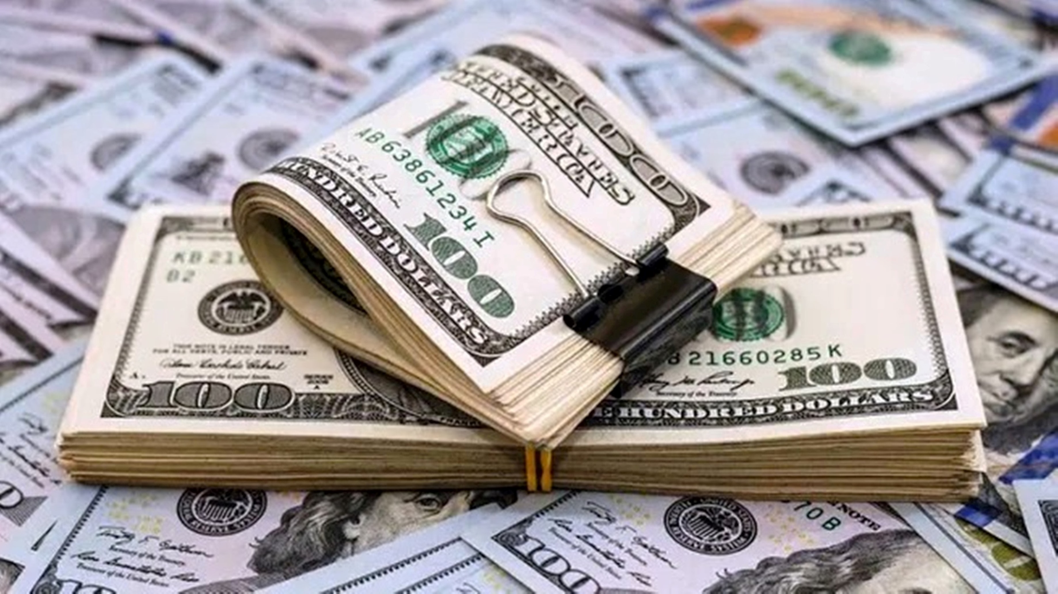 Dólar: más de 40 consultoras pronosticaron su precio para 2025