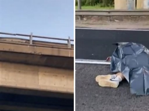 Un motociclista cayó desde un puente en la Panamericana y murió en el acto