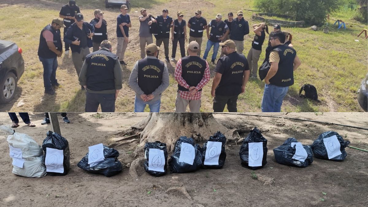 Nuevo golpe al narco: desbaratan organización criminal trasnacional y secuestran más de 92 kg de marihuana